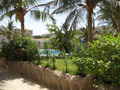 Are you considering an international nursing career in Jeddah, Saudi Arabia?